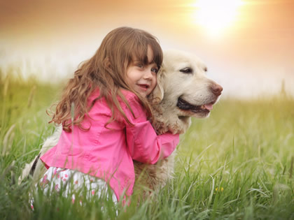 自分を知り癒されながら学ぶ