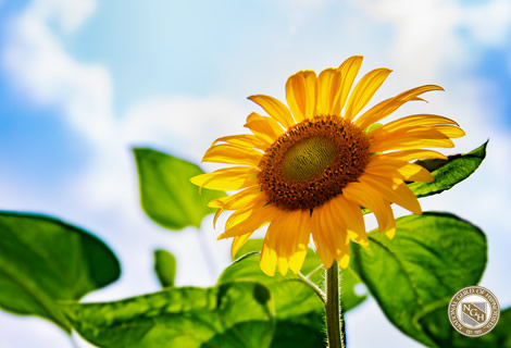 アドバンストコース~初級・中級~