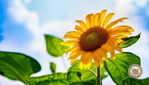 アドバンストコース~初級・中級~